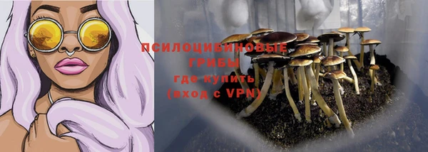 гидропоника Бородино
