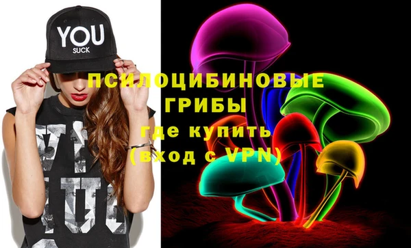 гидропоника Бородино